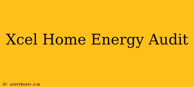 Xcel Home Energy Audit