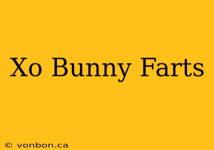 Xo Bunny Farts