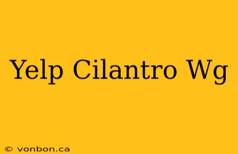 Yelp Cilantro Wg