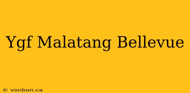 Ygf Malatang Bellevue