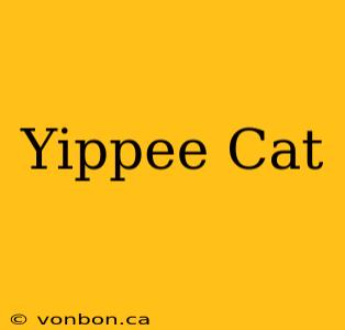 Yippee Cat