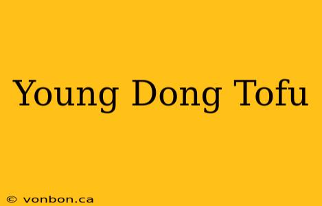 Young Dong Tofu