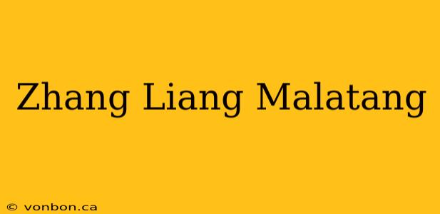 Zhang Liang Malatang