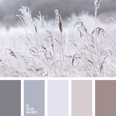 color palettes - col
