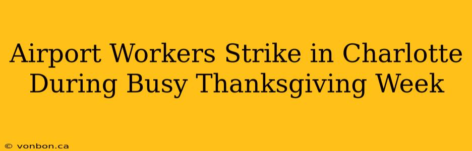 Airport Workers Strike in Charlotte During Busy Thanksgiving Week