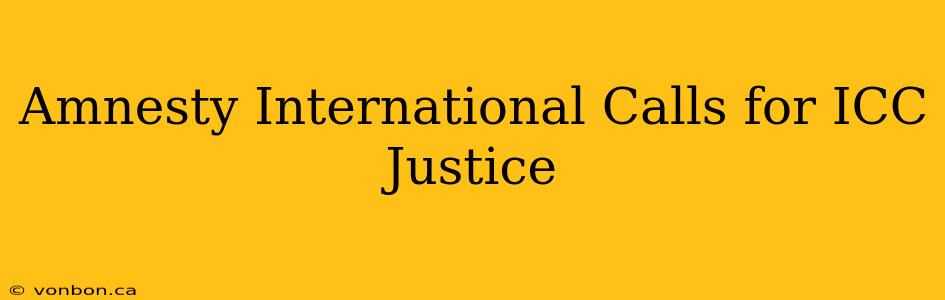 Amnesty International Calls for ICC Justice