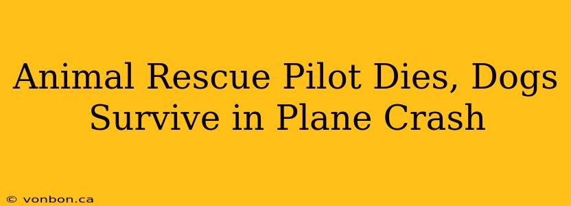 Animal Rescue Pilot Dies, Dogs Survive in Plane Crash