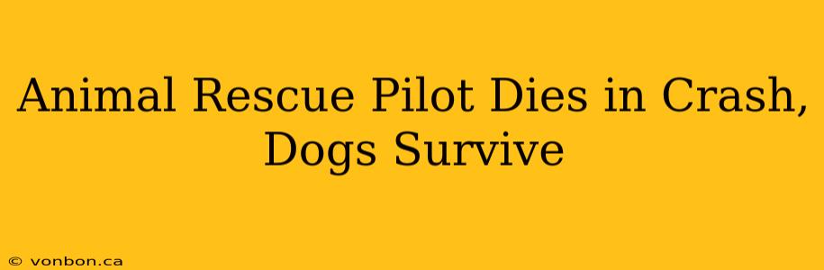 Animal Rescue Pilot Dies in Crash, Dogs Survive