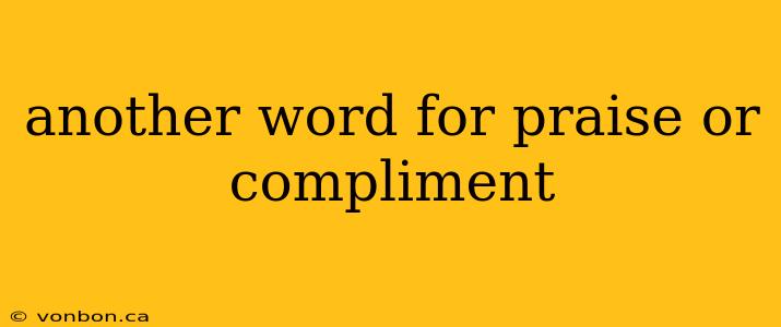 another word for praise or compliment