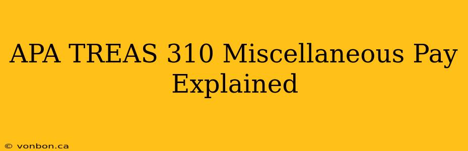 APA TREAS 310 Miscellaneous Pay Explained