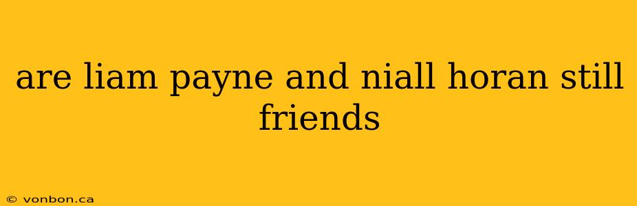 are liam payne and niall horan still friends