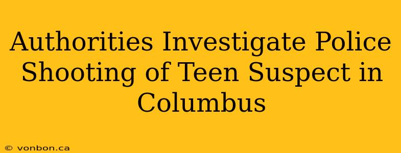 Authorities Investigate Police Shooting of Teen Suspect in Columbus