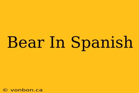 Bear In Spanish