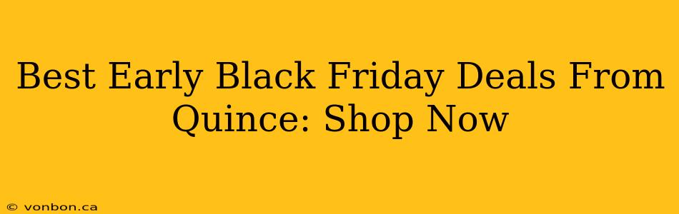 Best Early Black Friday Deals From Quince: Shop Now