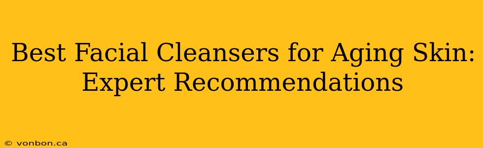 Best Facial Cleansers for Aging Skin: Expert Recommendations