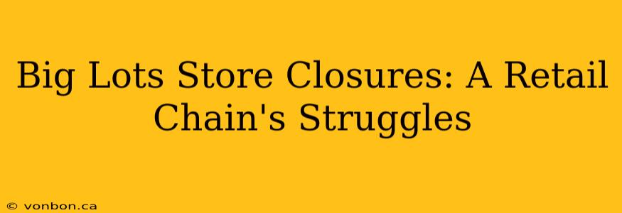 Big Lots Store Closures: A Retail Chain's Struggles