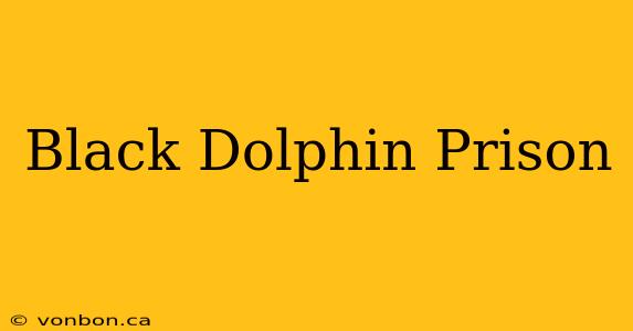 Black Dolphin Prison