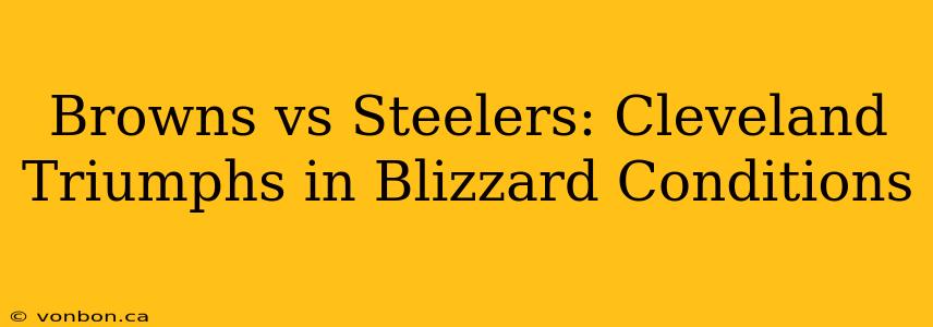 Browns vs Steelers: Cleveland Triumphs in Blizzard Conditions