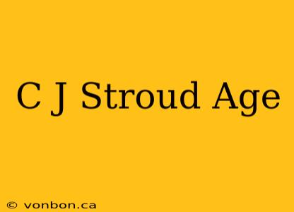 C J Stroud Age