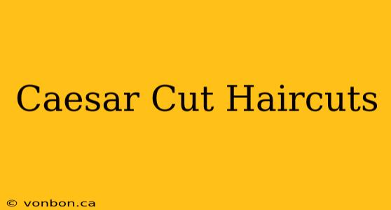 Caesar Cut Haircuts