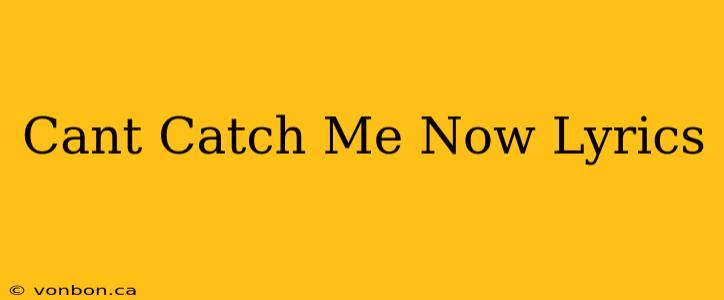 Cant Catch Me Now Lyrics