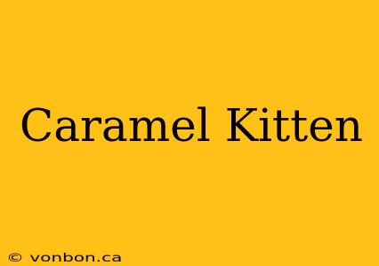 Caramel Kitten