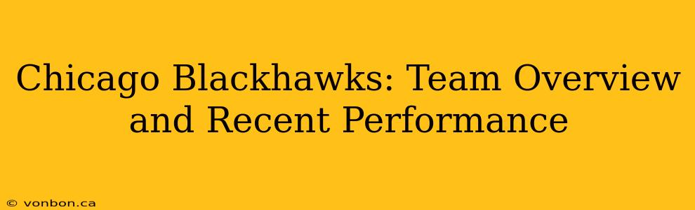 Chicago Blackhawks: Team Overview and Recent Performance