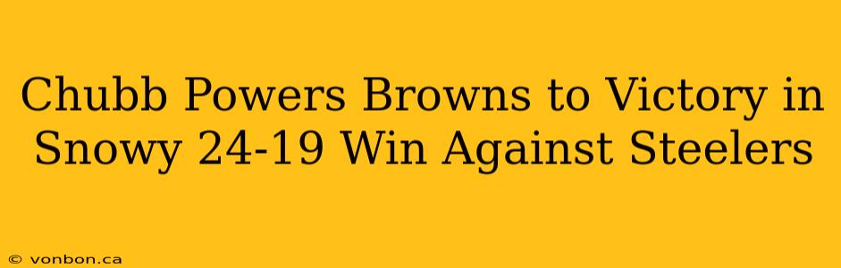 Chubb Powers Browns to Victory in Snowy 24-19 Win Against Steelers