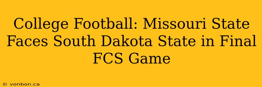 College Football: Missouri State Faces South Dakota State in Final FCS Game