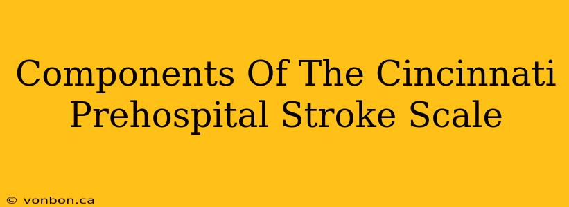 Components Of The Cincinnati Prehospital Stroke Scale