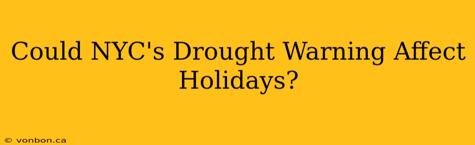 Could NYC's Drought Warning Affect Holidays?