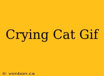 Crying Cat Gif