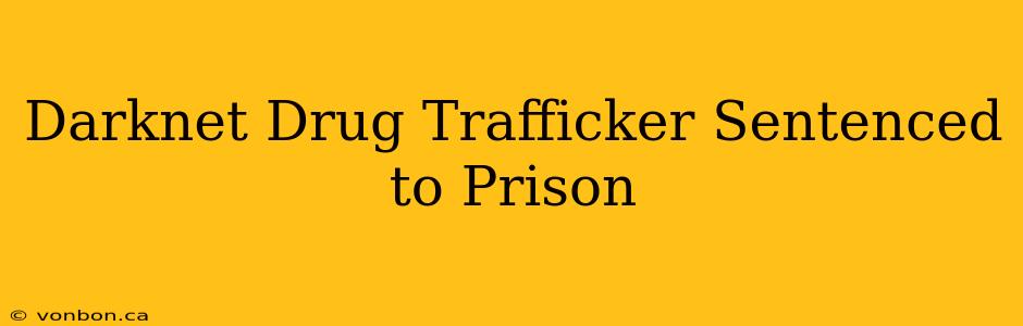 Darknet Drug Trafficker Sentenced to Prison