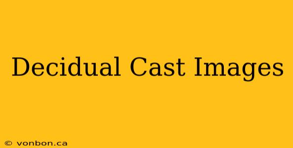 Decidual Cast Images