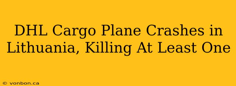 DHL Cargo Plane Crashes in Lithuania, Killing At Least One