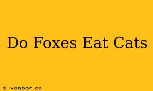 Do Foxes Eat Cats