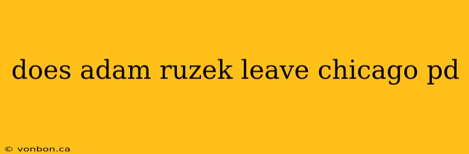 does adam ruzek leave chicago pd