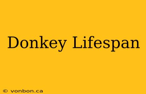 Donkey Lifespan