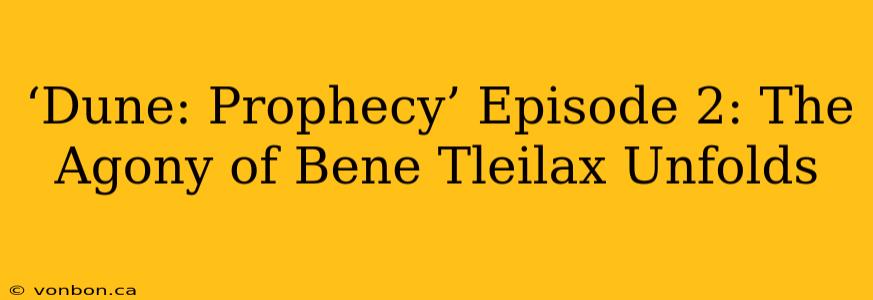 ‘Dune: Prophecy’ Episode 2: The Agony of Bene Tleilax Unfolds