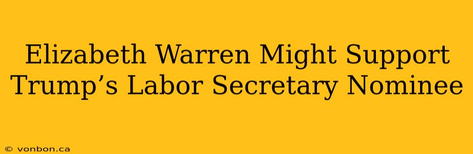 Elizabeth Warren Might Support Trump’s Labor Secretary Nominee