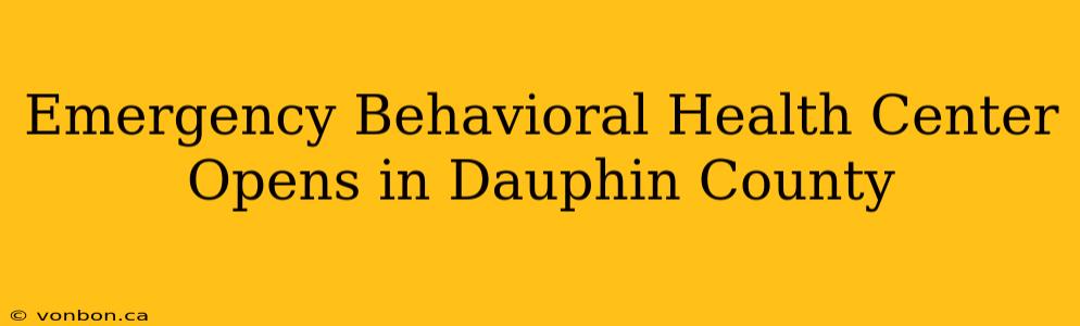 Emergency Behavioral Health Center Opens in Dauphin County