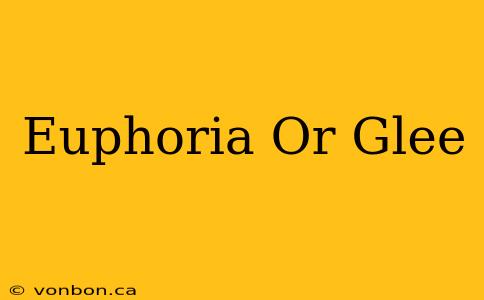 Euphoria Or Glee