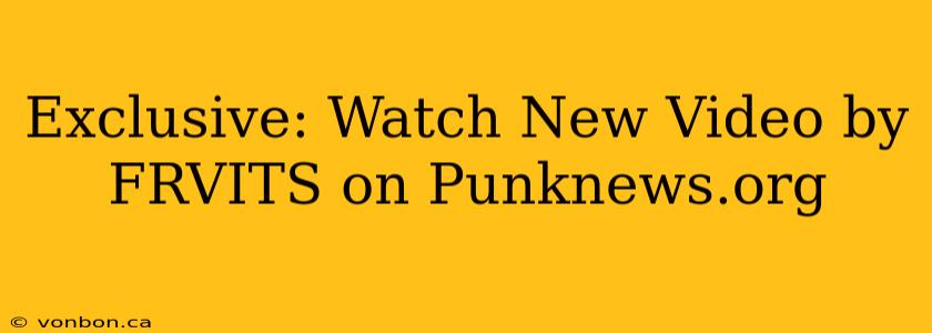 Exclusive: Watch New Video by FRVITS on Punknews.org