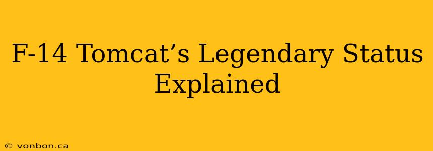 F-14 Tomcat’s Legendary Status Explained