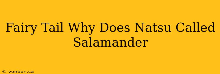 Fairy Tail Why Does Natsu Called Salamander