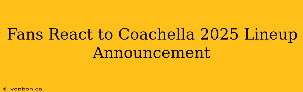 Fans React to Coachella 2025 Lineup Announcement