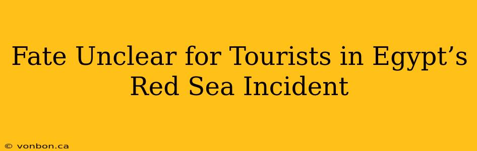 Fate Unclear for Tourists in Egypt’s Red Sea Incident