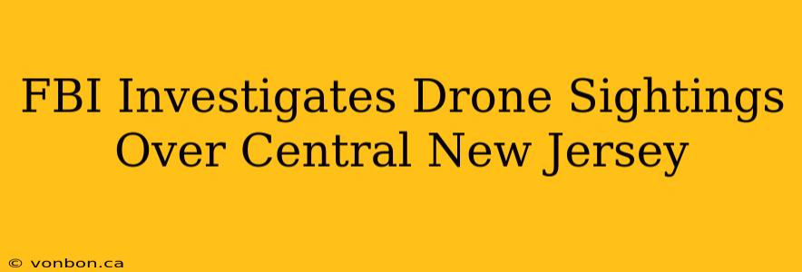 FBI Investigates Drone Sightings Over Central New Jersey