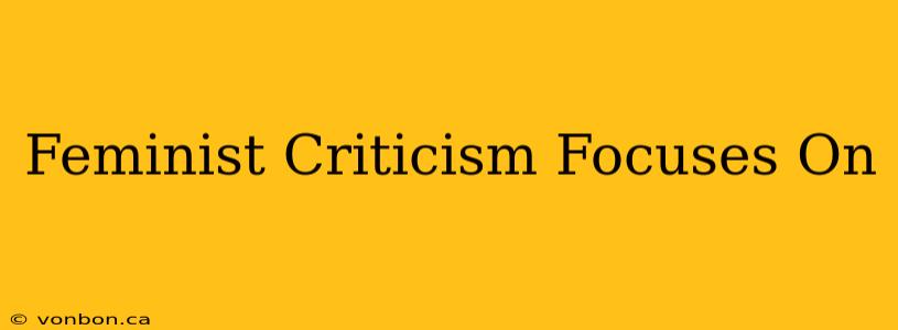 Feminist Criticism Focuses On