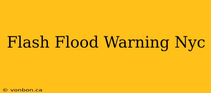 Flash Flood Warning Nyc